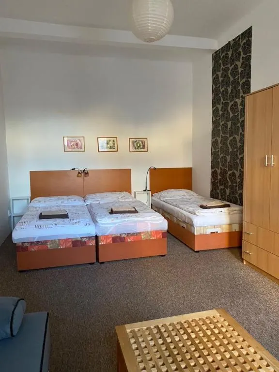 Vícelůžkový apartmán s vysokými stropy